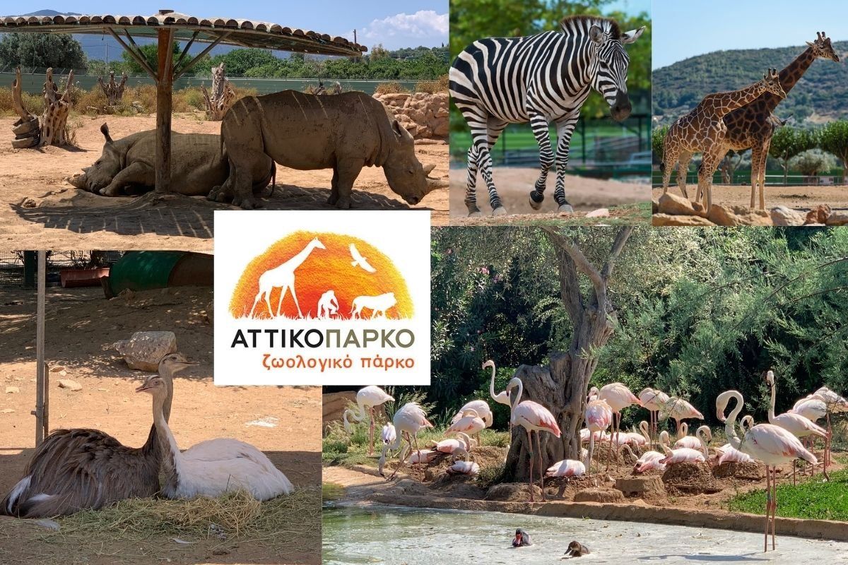 Attica Zoological Park in Spata, a 10-minute walk away